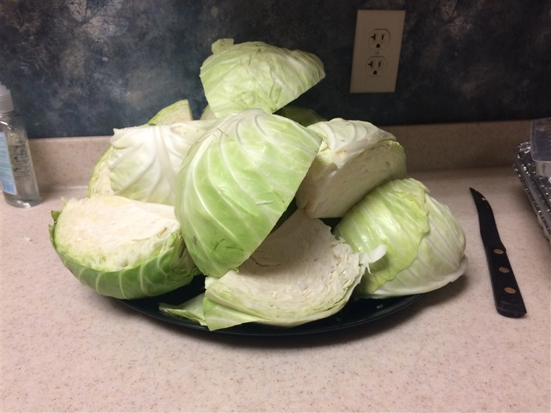 st pattys day lunch-1 ST Patty's Day Lunch 2019
